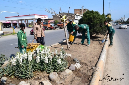 کاشت چمن بلوار خیابان امام رضا (ع) توسط شهرداری علی آباد کتول