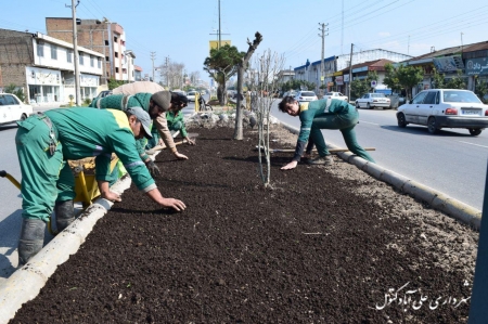 کاشت چمن بلوار خیابان امام رضا (ع) توسط شهرداری علی آباد کتول